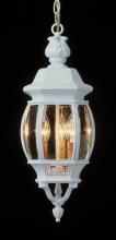 Trans Globe 4066 RT - 3LT MED HANGING LANTERN-OUTD-B